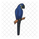 Hyacinth Macaw Macaw Bird Icon