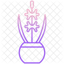 Hyacinth Plant  Icon