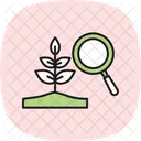 Hybrid Seed Research Center Seed Processing Icon