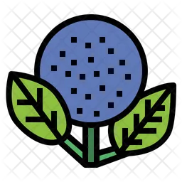 Hydrangea  Icon