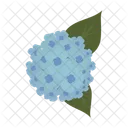 Hydrangeas Flower Floral Icon