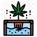 Hydrokultur Cannabis Pflanze Icon