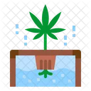 Hydrokultur Cannabis Pflanze Icon