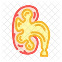 Hydronephrosis Urology Nephrology Icon