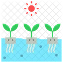 Hydroponic Soilless Agriculture Icon