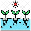 Hydroponic Soilless Agriculture Icon