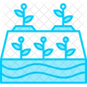 Hydroponic  Icon