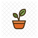 Hydroponic Gardening Icon