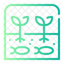 Hydroponic  Icon
