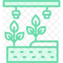 Hydroponic System Farm Icon
