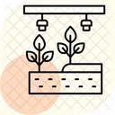 Hydroponic System Farm Icon