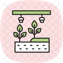 Hydroponic System Farm Icon