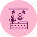 Hydroponic System Farm Icon