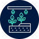 Hydroponic System Farm Icon