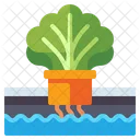 수경재배 기술 식물 기술 수경 시스템 아이콘