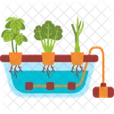 Hydroponics Gardening Vegetables Icon