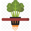 Hydroponics Gardening Plant Icon