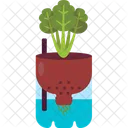 Hydroponics Gardening Plant Icon