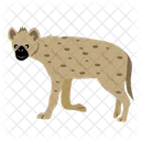 Hyena Carnivore Animal Icon