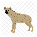 Hyena Carnivore Animal Icon
