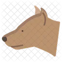 Hyenaa Animal Zoo Icon