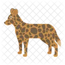 Hyenoid Dog Animal Icon