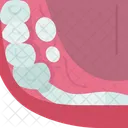 Hyperdontia Teeth Grow Icon