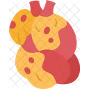 Hyperlipidemia  Icon