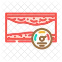 Hypertension Obesity Overweight Icon