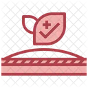 Hypoallergenic  Icon