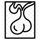 Organe Icône