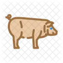 Iberico Pig Breed Icon