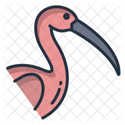 Ibis  Icon