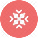 Ice Flake Crystal Icon