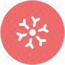 Ice Crystal Snowflake Icon