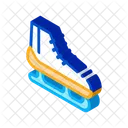 Sport Ice Silhouette Icon