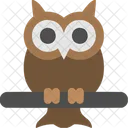 Owl Bird Animal Icon