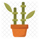 Icono de bambú  Icono