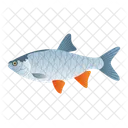 Ide Fish  Icon