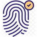 Identification Biometric Identity Icon