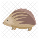 Igel  Symbol