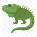 Iguana Animal Wildlife Icon