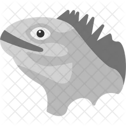 Iguana  Icon