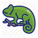 Iguana  Icon