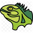 Iguana  Ícone