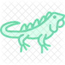 Iguana Verde Iguana Verde Animal De Estimacao Icon