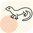 Iguane Du Desert Iguane Du Desert Reptile Icône