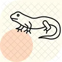 Iguane Vert Iguane Vert Reptile Icône