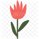 Flor Primavera Floral Icon