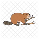 Animal Castor Fofo Ícone